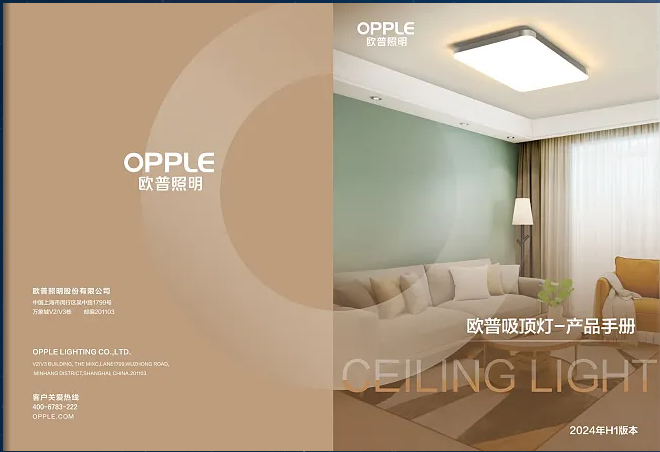 （1）定制欧普照明系统 QQ截图20250422161943.png