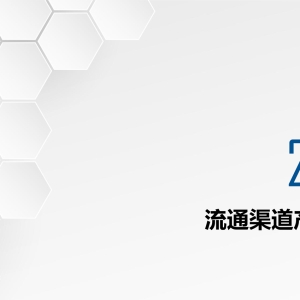 （44）定制东鹏卫浴，洁具。