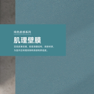 11_肌理壁膜v1