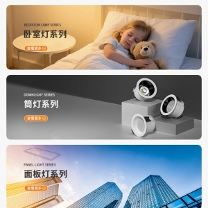 （47）定制信华家装照明系统(银利达品牌)
